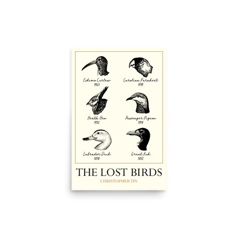The Lost Birds Poster