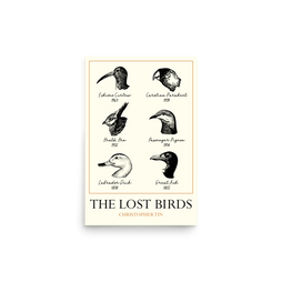 The Lost Birds Poster